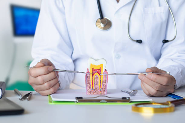 Best Knocked-Out Tooth Emergency  in Southmont, NC